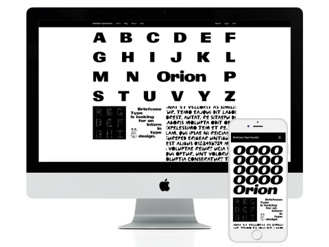 briefcasetype